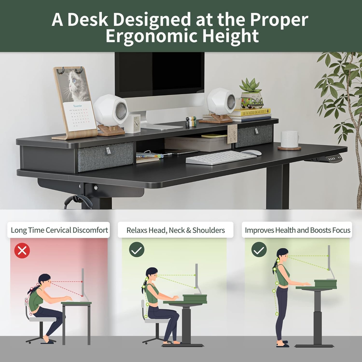 48 X 24 Inch Height Adjustable Electric Standing Desk with Double Drawer, Stand up Desk with Storage Shelf, Sit Stand Desk, Black